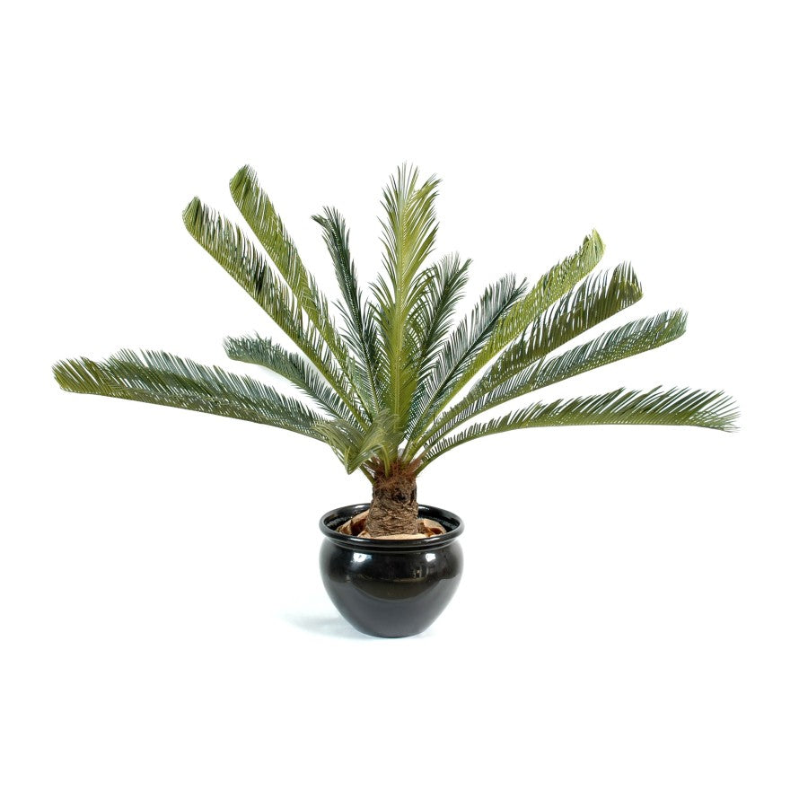 Cycas artificiel geant