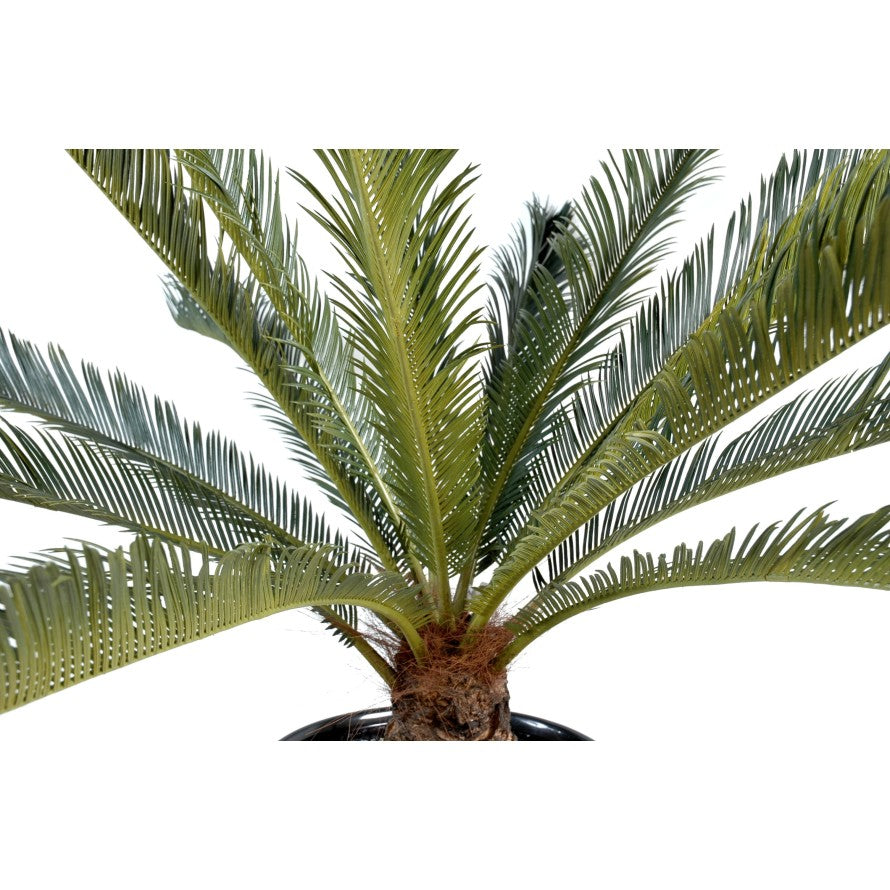 Cycas artificiel geant