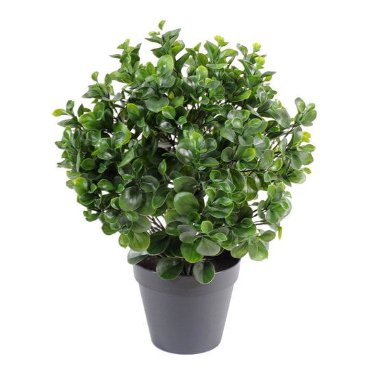 Peperomia artificiel plast buisson