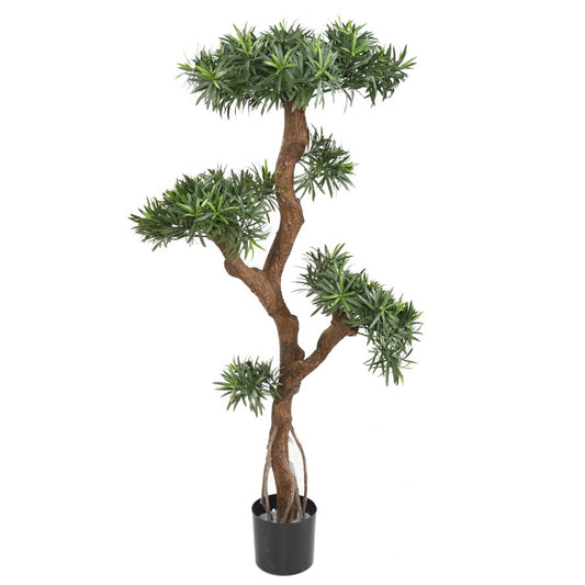 Podocarpus artificiel nuage uv