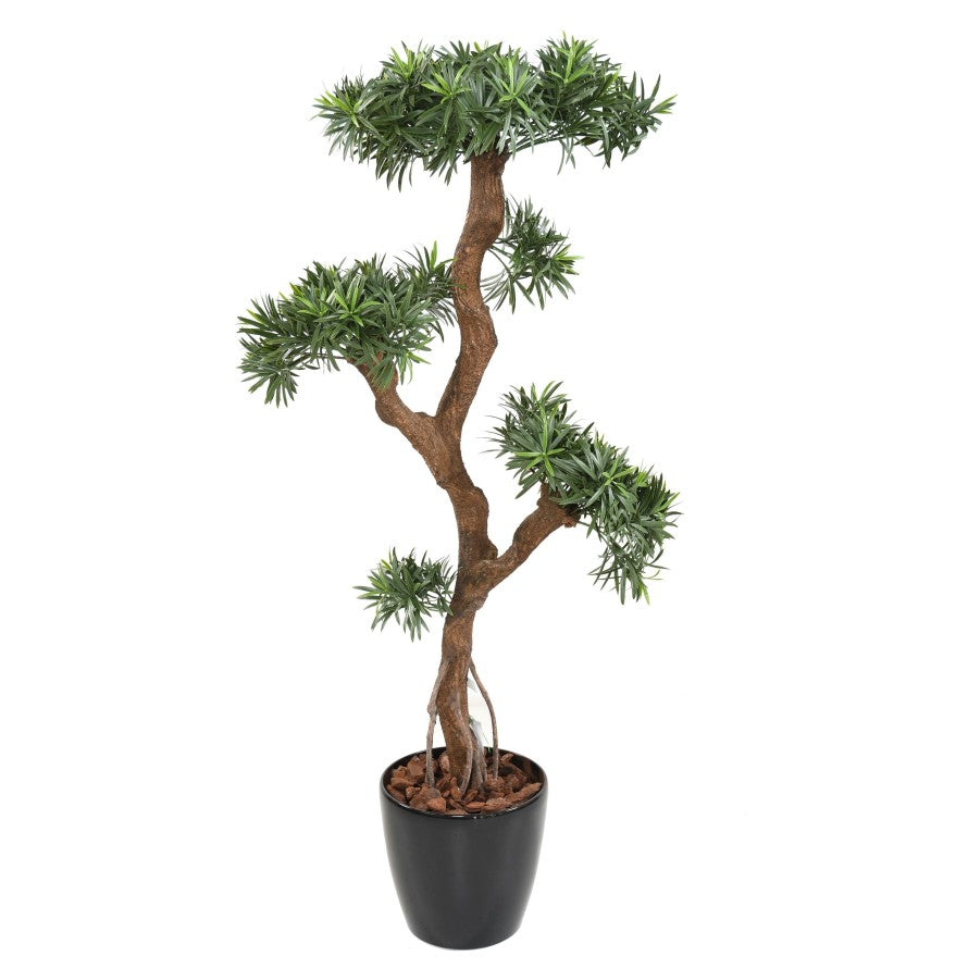 Podocarpus artificiel nuage uv