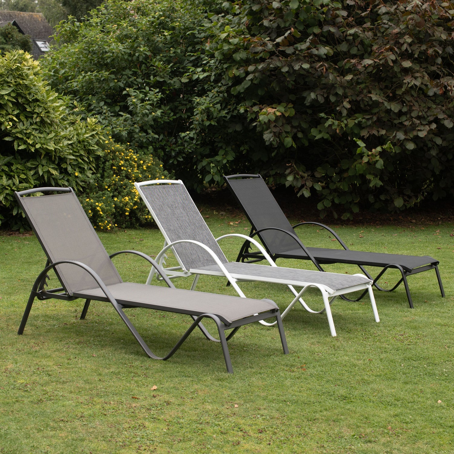 Les transats et bains de soleil