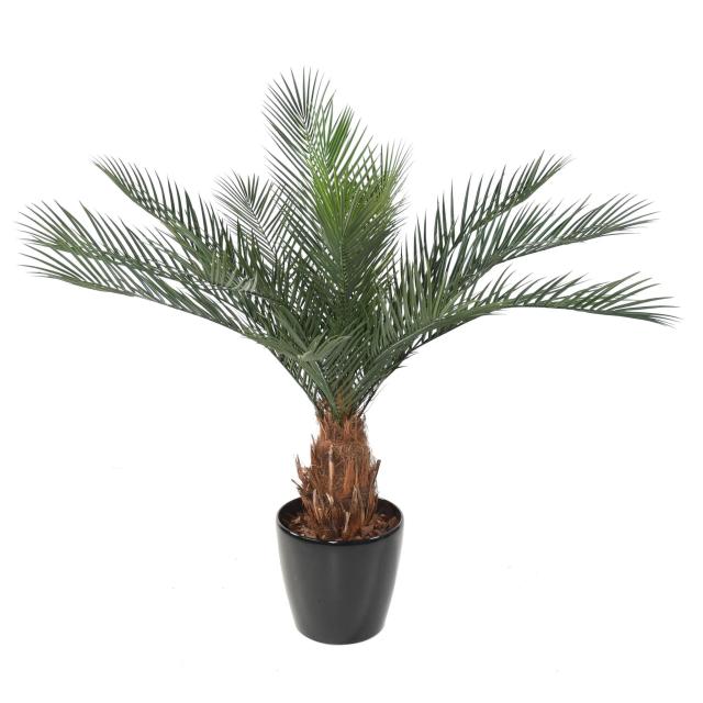 Artificial Phoenix Trunk N PLAST