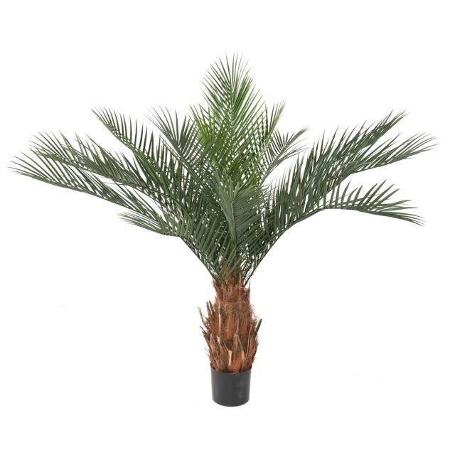 Artificial Phoenix Trunk N PLAST