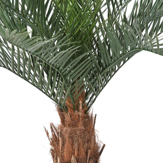 Artificial Phoenix Trunk N PLAST