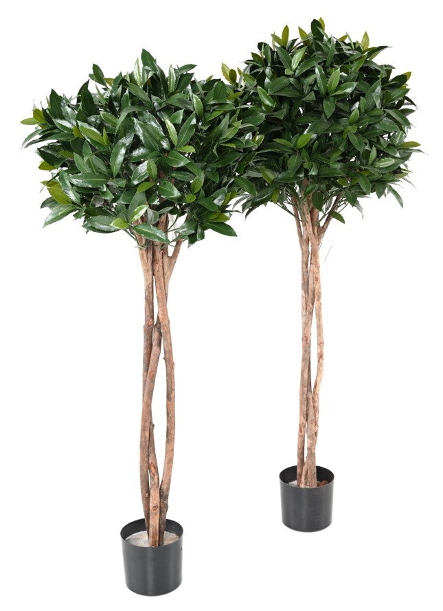 Laurier nobilis artificiel new tige boule 130 uv