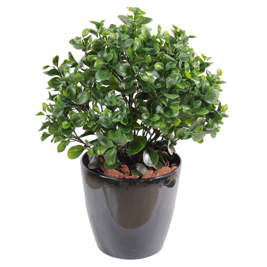 Peperomia artificiel plast buisson