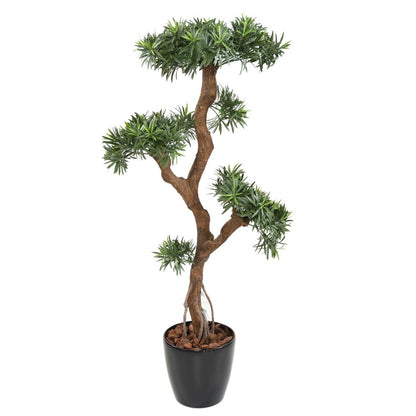 Podocarpus artificiel nuage uv