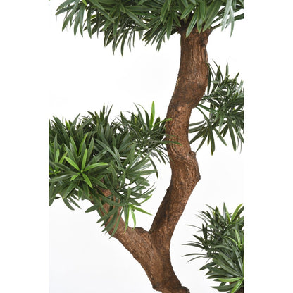 Podocarpus artificiel nuage uv